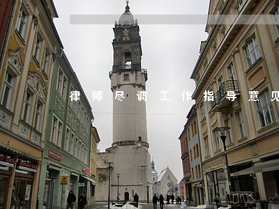 律师尽调工作指导意见