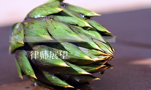律师展望 律师展望
