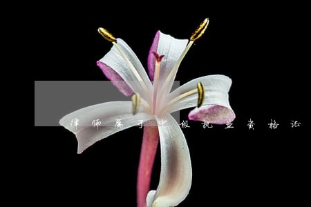 律师属于中级执业资格证 律师属于中级执业资格证