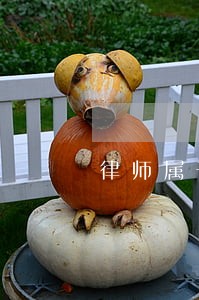律师属于什么科 律师属于什么科