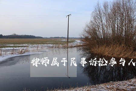 律师属于民事诉讼参与人吗 律师属于民事诉讼参与人吗