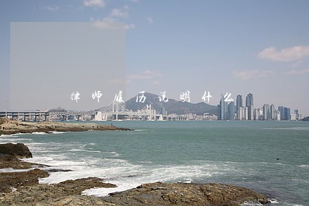律师履历说明什么 律师履历说明什么