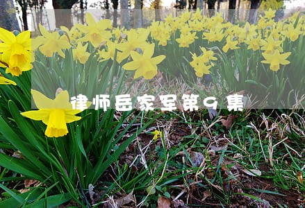 律师岳家军第9集 律师岳家军第9集