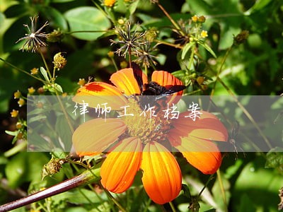 律师工作档案 律师工作档案