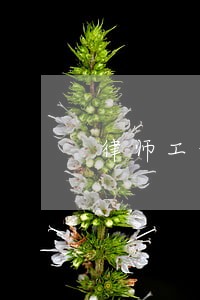 律师工作需要个人档案吗 律师工作需要个人档案吗