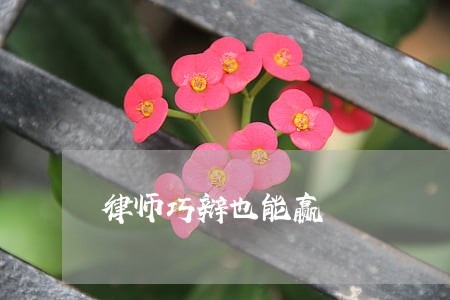 律师巧辩也能赢 律师巧辩也能赢