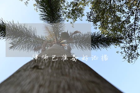 律师已准备好证据 律师已准备好证据