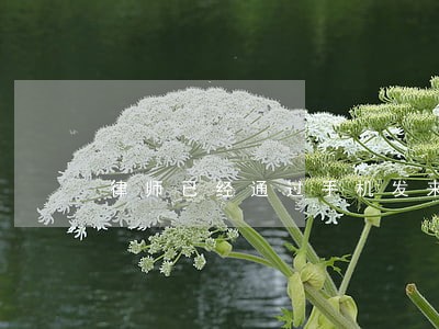 律师已经通过手机发来律师函了 律师已经通过手机发来律师函了