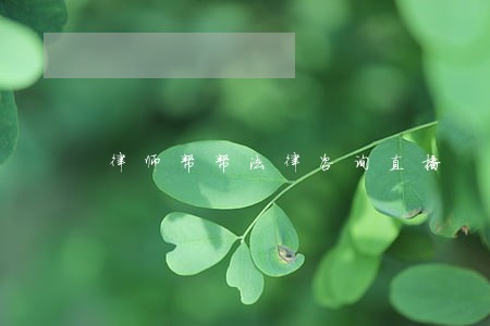 律师帮帮法律咨询直播
