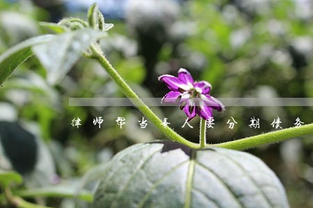 律师帮当事人要分期债务的话术 律师帮当事人要分期债务的话术