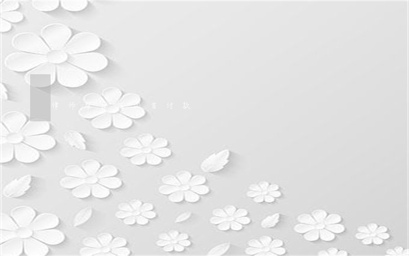 律师帮忙追回首付款 律师帮忙追回首付款
