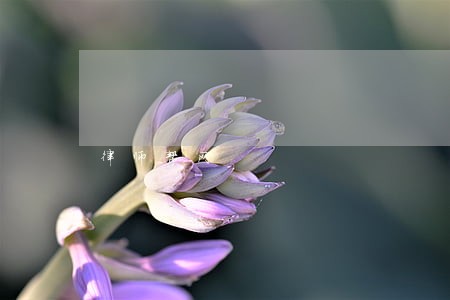 律师帮网 律师帮网
