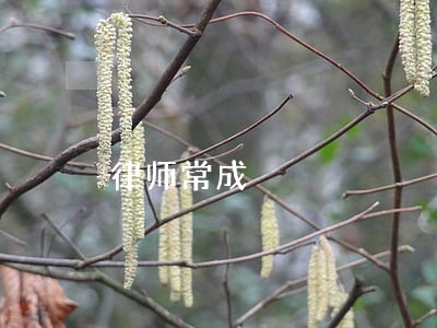 律师常成 律师常成
