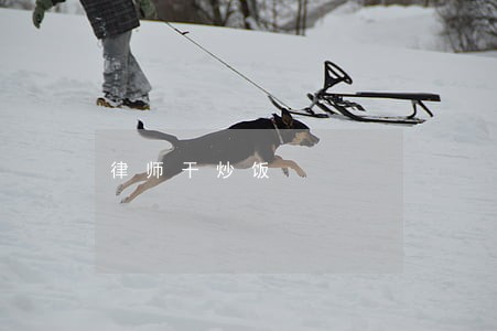 律师干炒饭 律师干炒饭