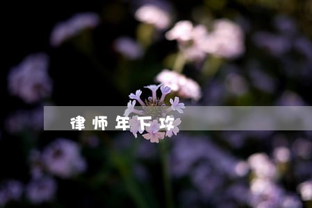 律师年下攻 律师年下攻