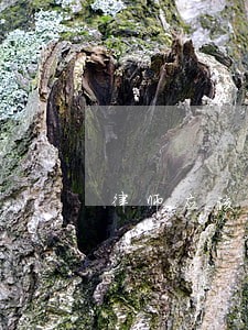 律师应该带什么手表 律师应该带什么手表