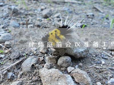 律师庭前会议准备工作流程 律师庭前会议准备工作流程