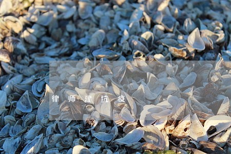律师建抗疫 律师建抗疫