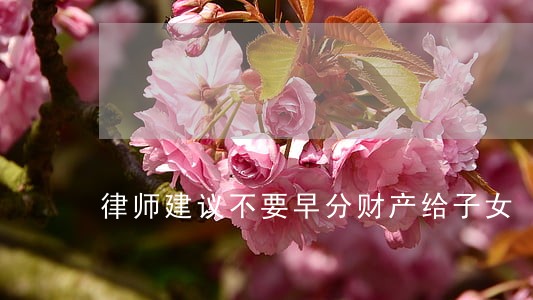 律师建议不要早分财产给子女 律师建议不要早分财产给子女