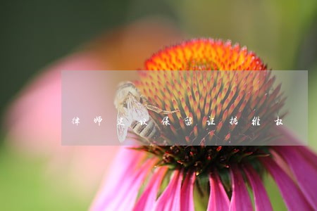 律师建议保留证据维权