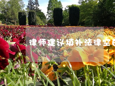 律师建议填补法律空白 律师建议填补法律空白