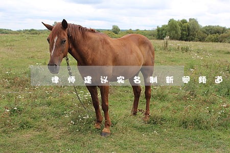 律师建议实名制新闻频道 律师建议实名制新闻频道