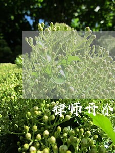 律师开个人工作室 律师开个人工作室