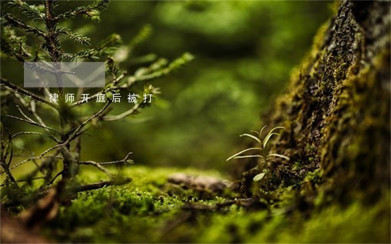 律师开庭后被打 律师开庭后被打