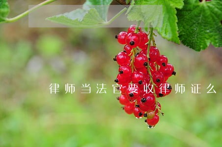 律师当法官要收律师证么 律师当法官要收律师证么
