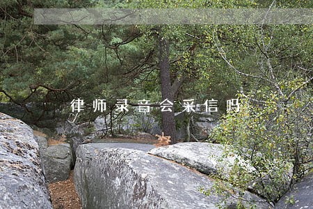律师录音会采信吗 律师录音会采信吗