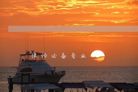律师必备专业 律师必备专业