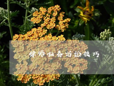 律师必备诉讼技巧 律师必备诉讼技巧