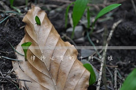 律师必背的十种思维 律师必背的十种思维