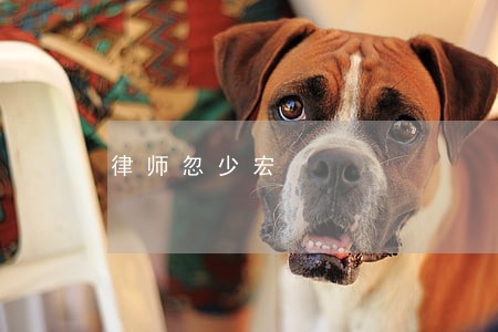 律师忽少宏 律师忽少宏