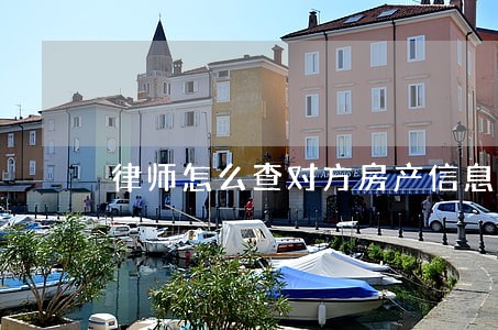 律师怎么查对方房产信息 律师怎么查对方房产信息