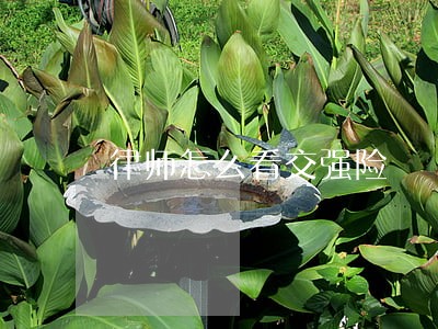 律师怎么看交强险 律师怎么看交强险