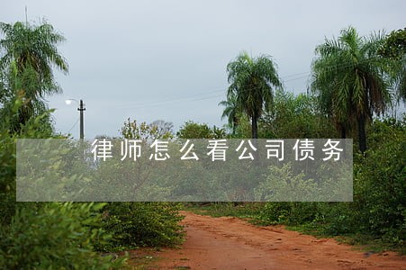 律师怎么看公司债务 律师怎么看公司债务
