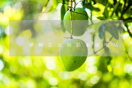 律师怎么知道家属电话 律师怎么知道家属电话