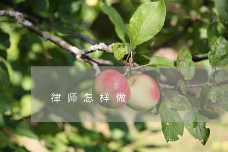 律师怎样做 律师怎样做
