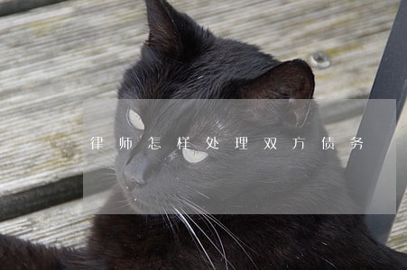 律师怎样处理双方债务 律师怎样处理双方债务