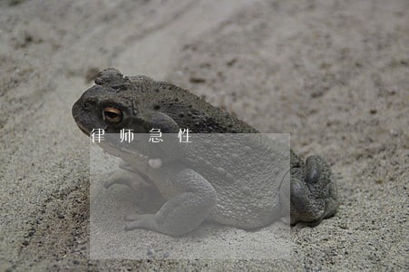 律师急性 律师急性