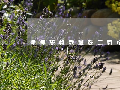 律师您好我是在二月份用的借呗