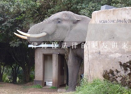 律师懂法律的吧友进来看看 律师懂法律的吧友进来看看