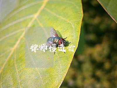 律师懂造价 律师懂造价
