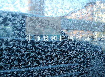 律师我和伴侣结婚五年 律师我和伴侣结婚五年