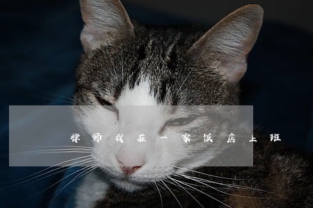律师我在一家饭店上班 律师我在一家饭店上班