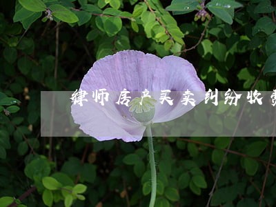 律师房产买卖纠纷收费 律师房产买卖纠纷收费