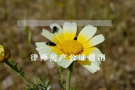律师房产公证费用 律师房产公证费用