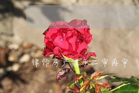 律师房产继承二审再审 律师房产继承二审再审