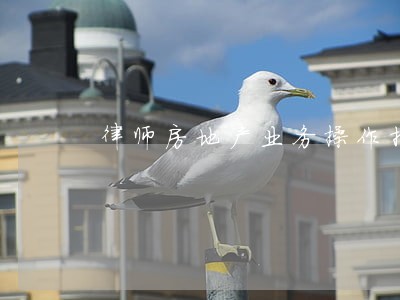 律师房地产业务操作指引 律师房地产业务操作指引